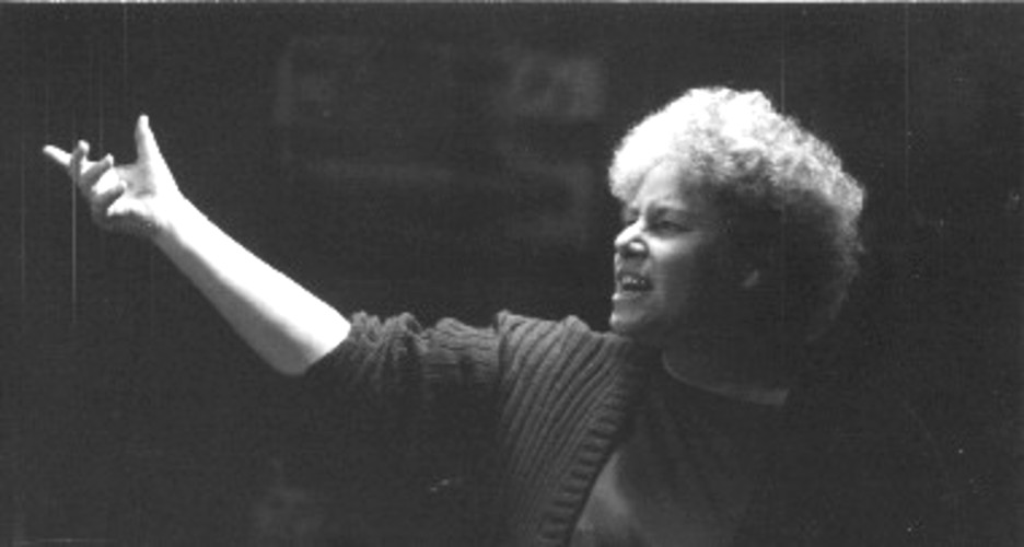 37. Pou Mahi a Iwi. Sue Bradford in the Unemployed Roadshow, 1996.